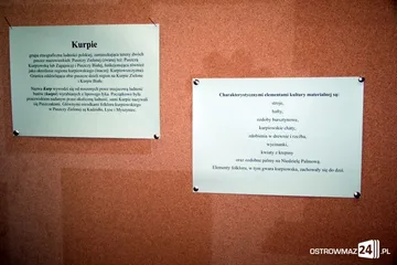 Następne zdjęcie