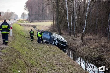 Następne zdjęcie