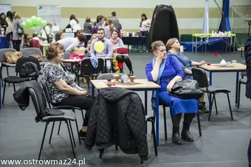 Poprzednie zdjęcie