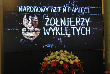 Następne zdjęcie
