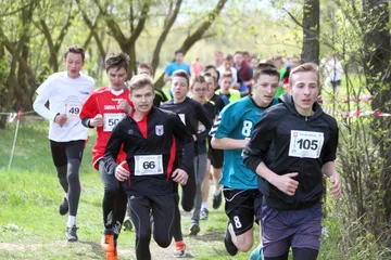 Poprzednie zdjęcie