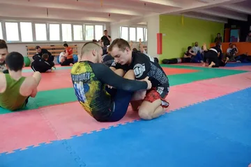 Poprzednie zdjęcie