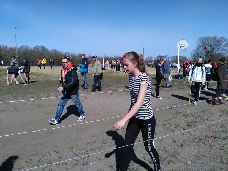 Walczyli o medale w przełajach (zdjęcia, wideo)