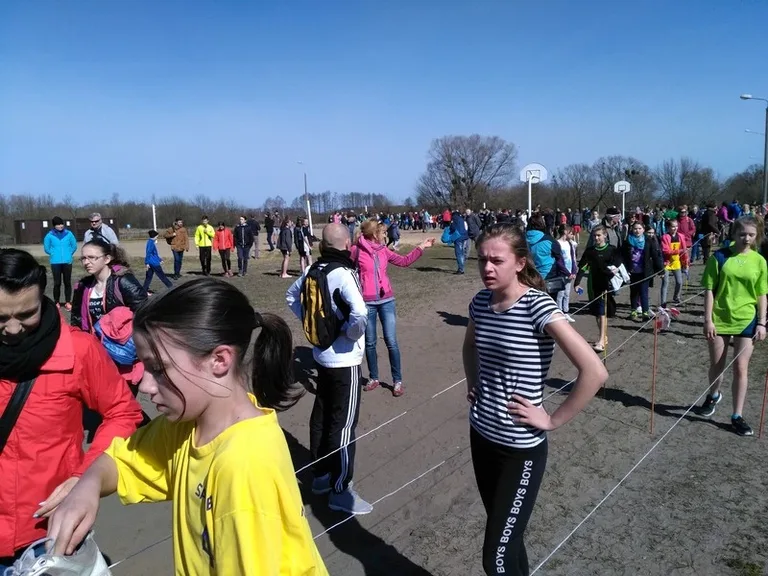 Walczyli o medale w przełajach (zdjęcia, wideo)