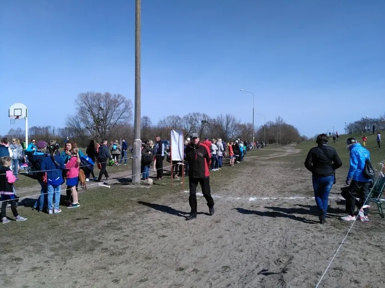 Walczyli o medale w przełajach (zdjęcia, wideo)