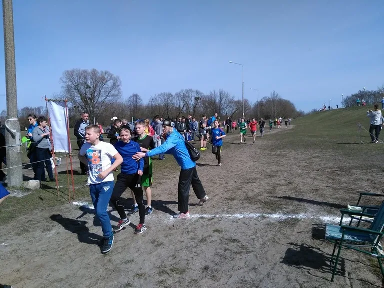Walczyli o medale w przełajach (zdjęcia, wideo)