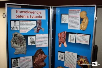 Następne zdjęcie