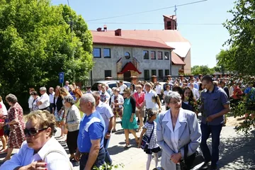 Następne zdjęcie