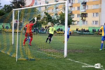 Następne zdjęcie