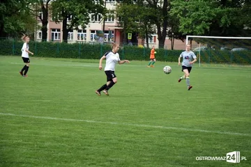 Następne zdjęcie