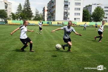 Następne zdjęcie