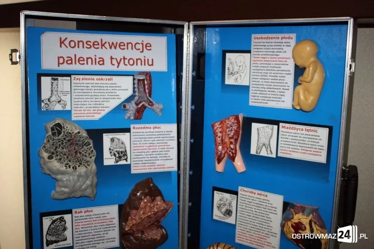Ekonomik bez papierosów (zdjęcia)