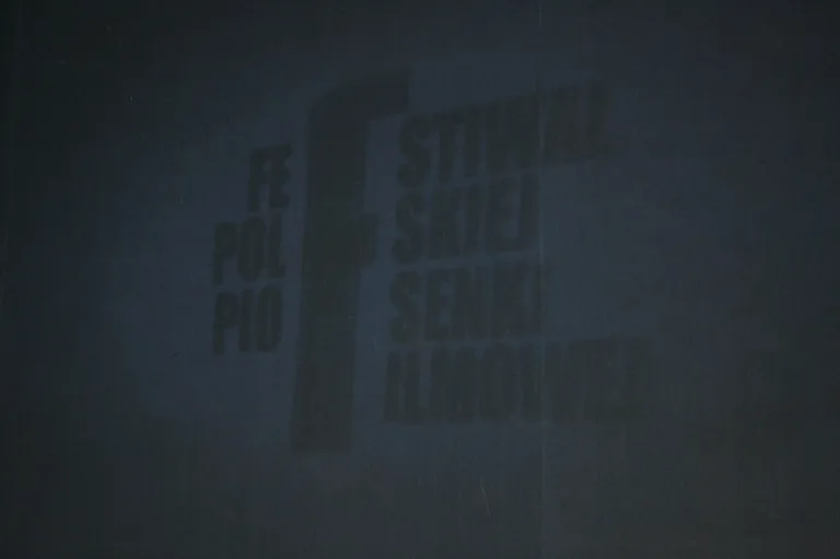 Festiwal Piosenki Filmowej 2016 (zdjęcia, wideo)