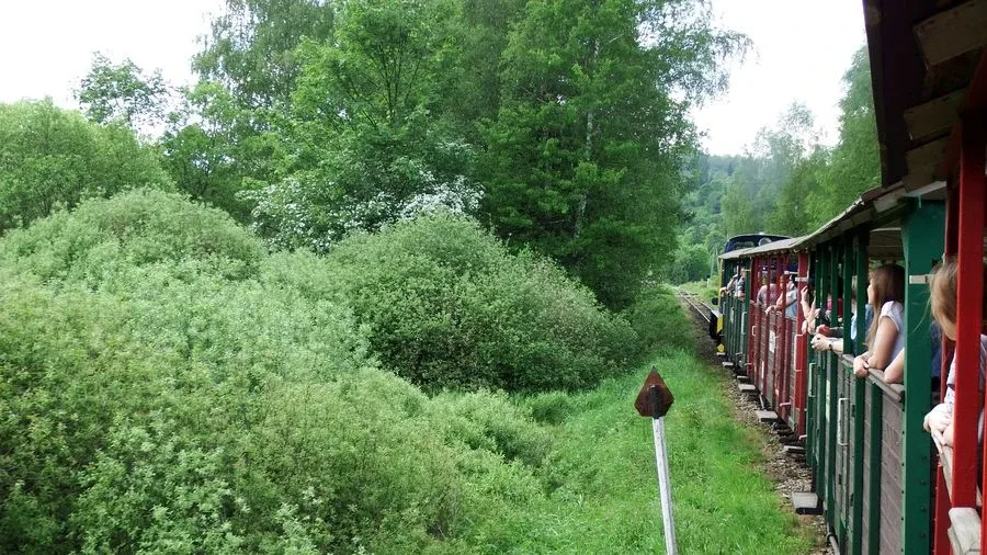 Społeczność ZSP nr 1 w Bieszczadach (zdjęcia)