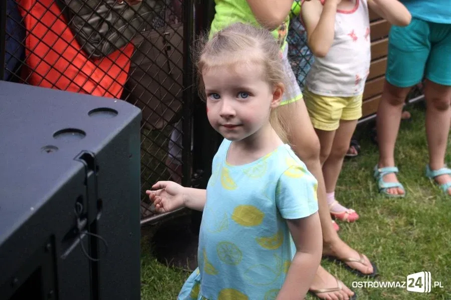 XV Festiwal Przedszkolaków (zdjęcia, wideo)
