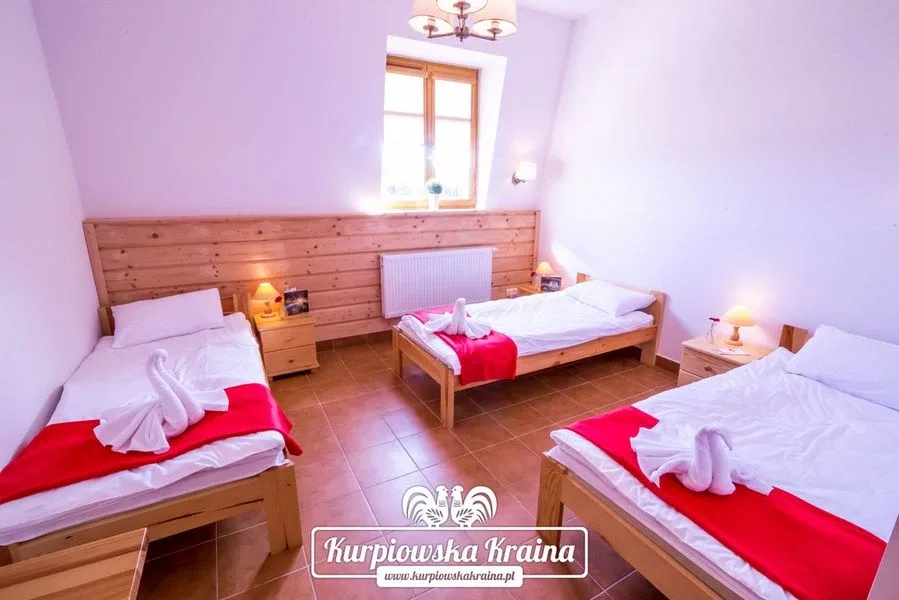 Lato w "Kurpiowskiej Krainie" z koncertami