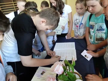 Poprzednie zdjęcie