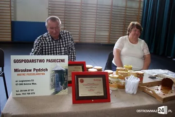 Poprzednie zdjęcie
