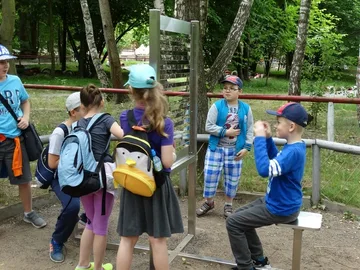 Następne zdjęcie