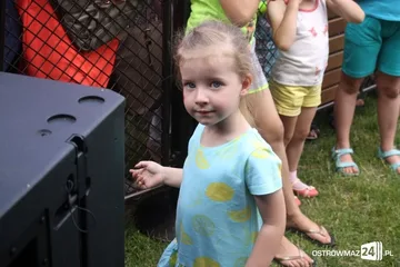 Poprzednie zdjęcie