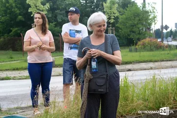 Następne zdjęcie