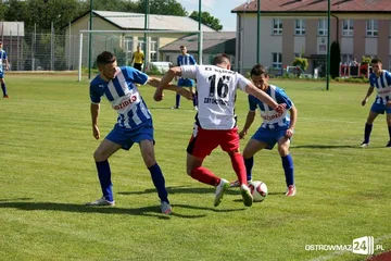 Następne zdjęcie