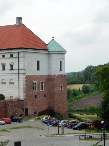 Następne zdjęcie