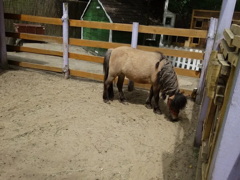 Wycieczka na "Farmę Iluzji" (zdjęcia)