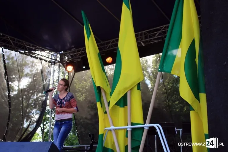 Przegląd zespołów MDK (zdjęcia, wideo)