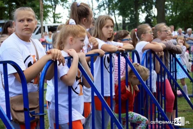 Przegląd zespołów MDK (zdjęcia, wideo)