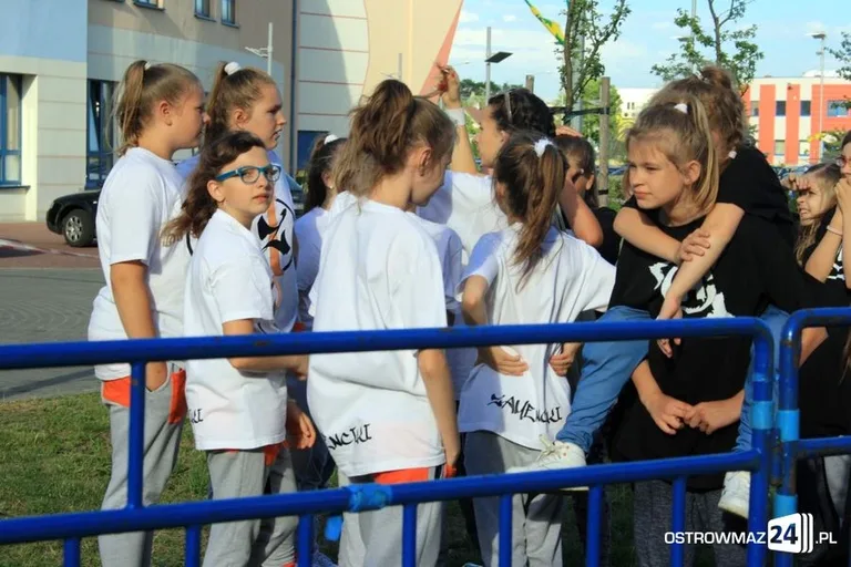 Przegląd zespołów MDK (zdjęcia, wideo)