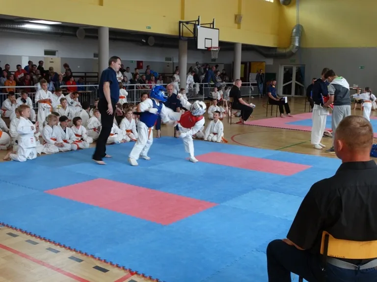 Udany start brokowskich karateków (zdjęcia)