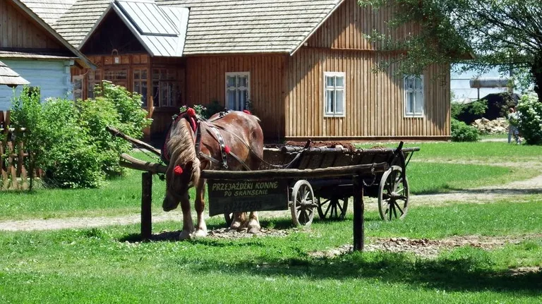 Społeczność ZSP nr 1 w Bieszczadach (zdjęcia)