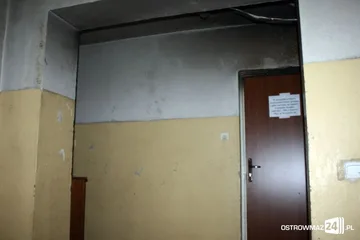 Poprzednie zdjęcie