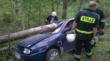 Seat uderzył w drzewo (zdjęcia)