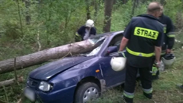 Seat uderzył w drzewo (zdjęcia)