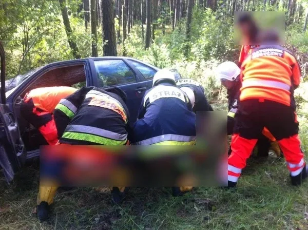 Seat uderzył w drzewo (zdjęcia)