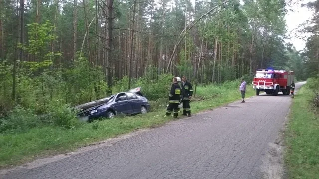 Seat uderzył w drzewo (zdjęcia)