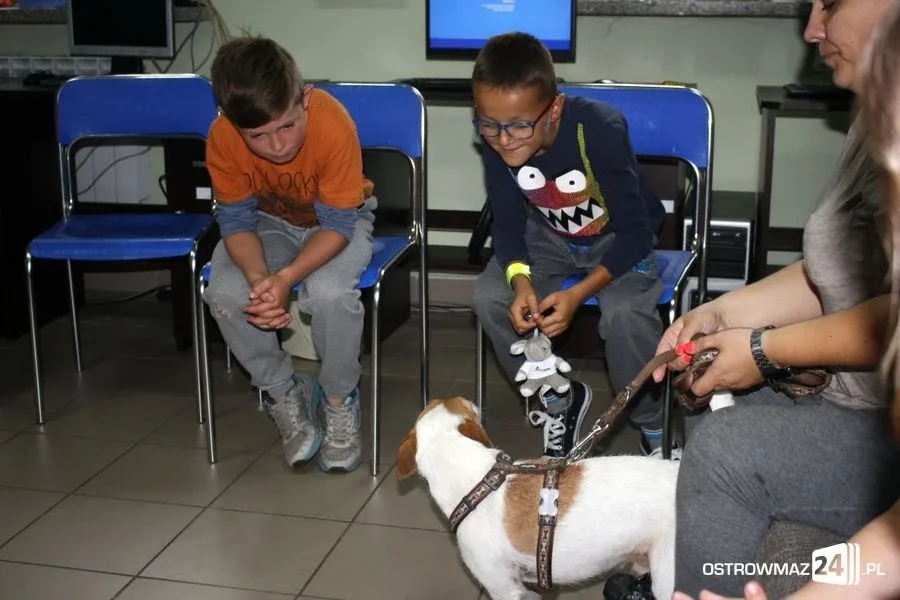 Dogoterapia w ostrowskiej świetlicy (zdjęcia)
