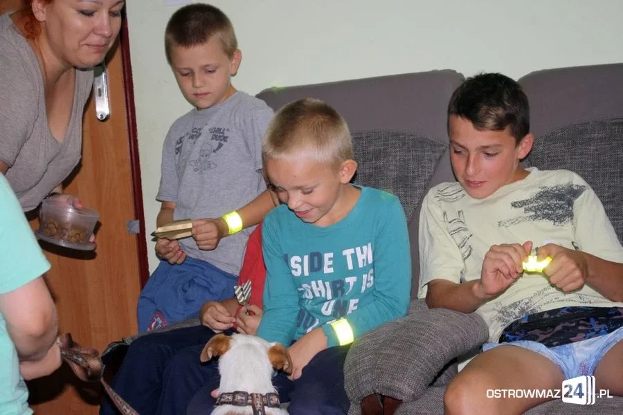 Dogoterapia w ostrowskiej świetlicy (zdjęcia)