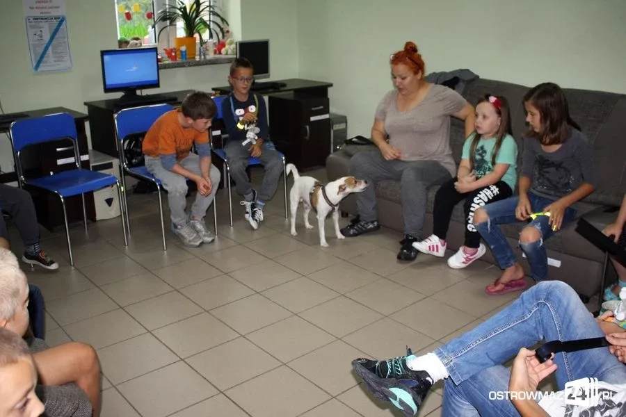 Dogoterapia w ostrowskiej świetlicy (zdjęcia)