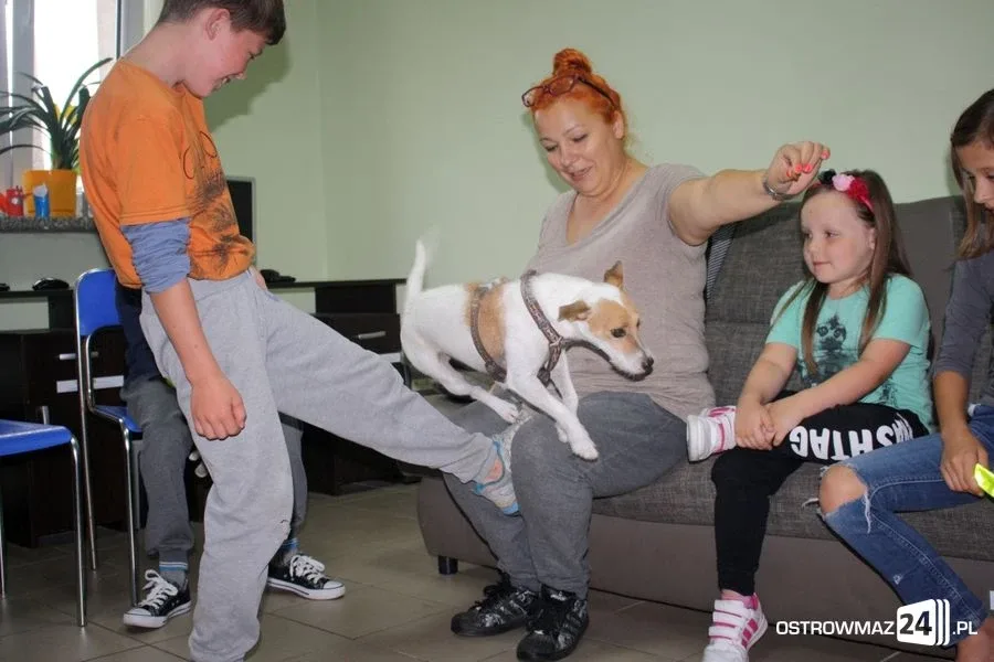Dogoterapia w ostrowskiej świetlicy (zdjęcia)