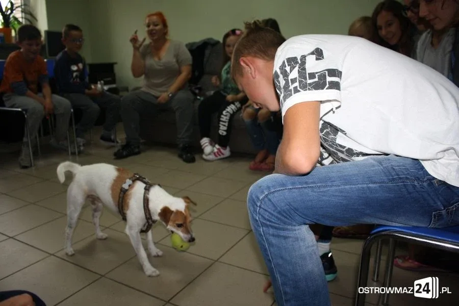 Dogoterapia w ostrowskiej świetlicy (zdjęcia)
