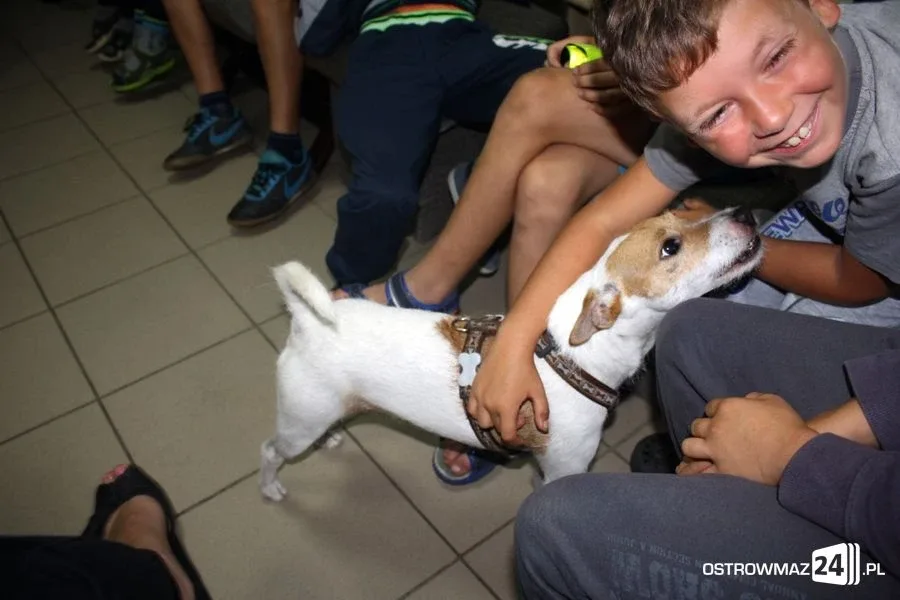 Dogoterapia w ostrowskiej świetlicy (zdjęcia)