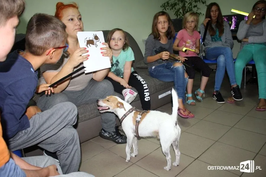 Dogoterapia w ostrowskiej świetlicy (zdjęcia)