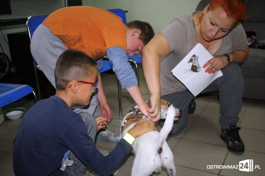 Dogoterapia w ostrowskiej świetlicy (zdjęcia)