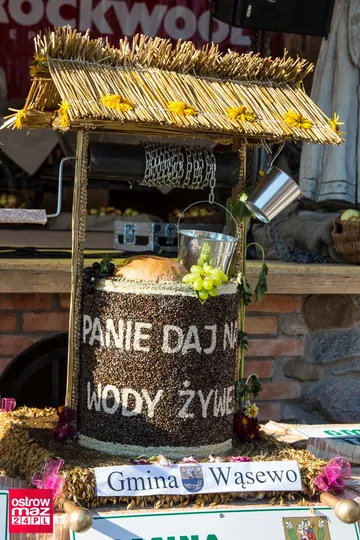 Następne zdjęcie