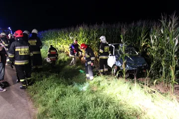 Kolejny pijany kierowca skończył w przydrożnym rowie