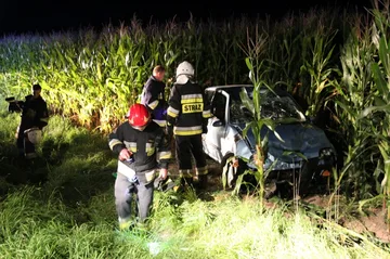 Kolejny pijany kierowca skończył w przydrożnym rowie