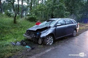Następne zdjęcie